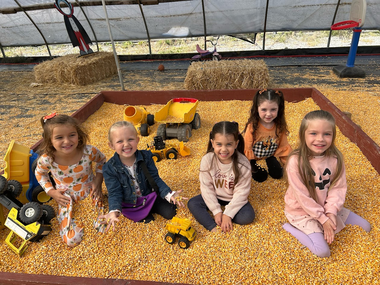 White Oak classroom activity